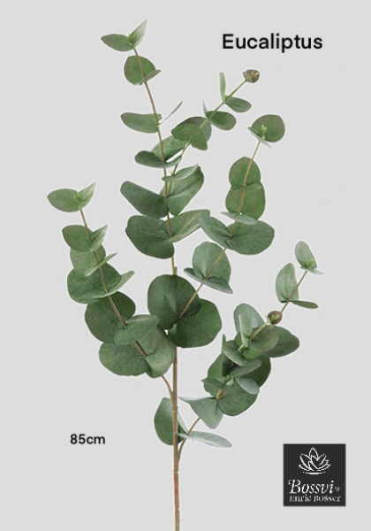 RAMA EUCALYPTUS x 6. 85 cm. Verde Cl.