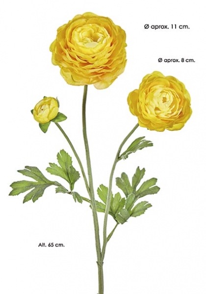RANUNCULUS x 3. 65 cm. Amarillo