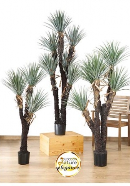 MACETA YUCCA x 5. 180 cm. Verde.