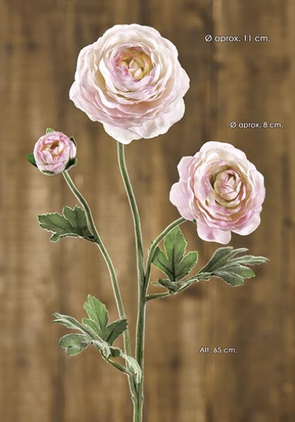 RANUNCULUS x 3. 65 cm. Rosa Claro