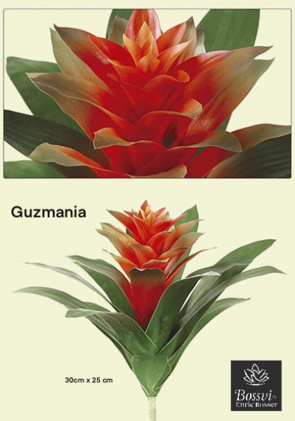 BROMELIA. 45 cm. Rojo.