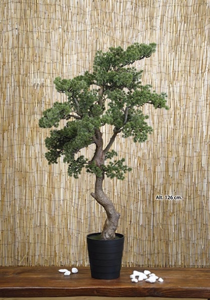 MACETA BONSAI. 126 cm. Verde.