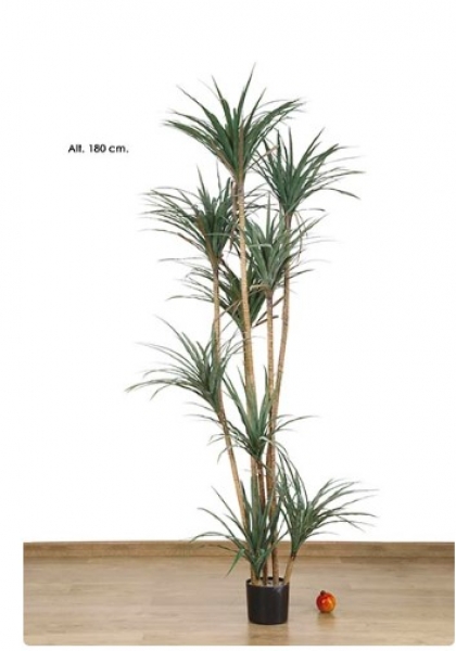 MACETA DRACAENA x 9. 180 cm. Verde.