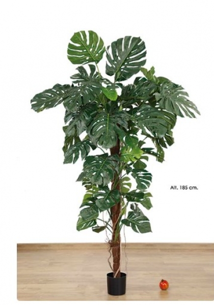 MACETA PHILO x 65 h. 185 cm.