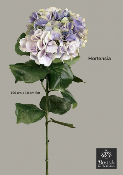 HORTENSIA FRESH. 75 cm. Lavanda.