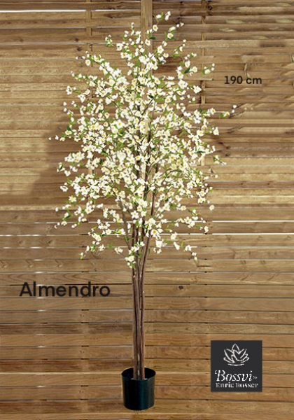 MACETA ALMENDRO. 190 cm. Crema.