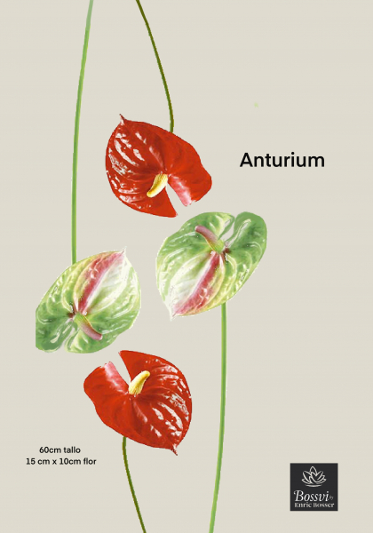 FLOR ANTHURIUM. 61 cm. Rojo.