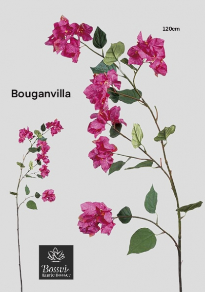 RAMA BOUGAINVILLEA. 120 cm. Cereza.