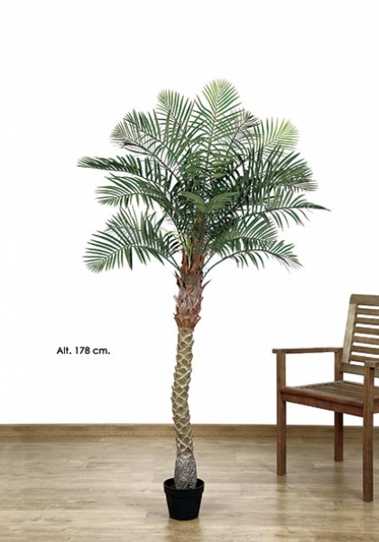 MACETA PHOENIX PALM. 178 cm. Verde.