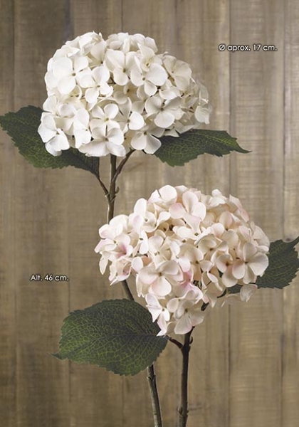 HORTENSIA. 46 cm. Beig.