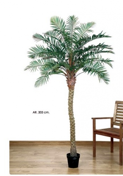 MACETA PHOENIX PALM. 203 cm. Verde.