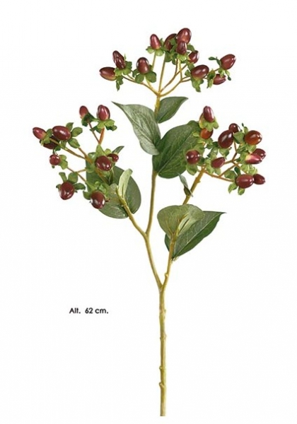 RAMA HYPERICUM. 62 cm. Burdeos