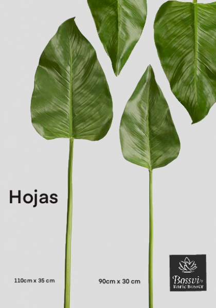 HOJA CALLA. 114 cm. Verde.