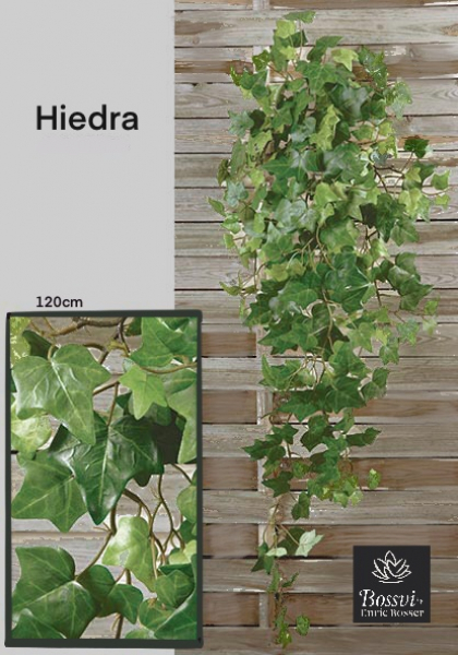 COLG. HIEDRA SAGE x 292. 120 cm. Verde