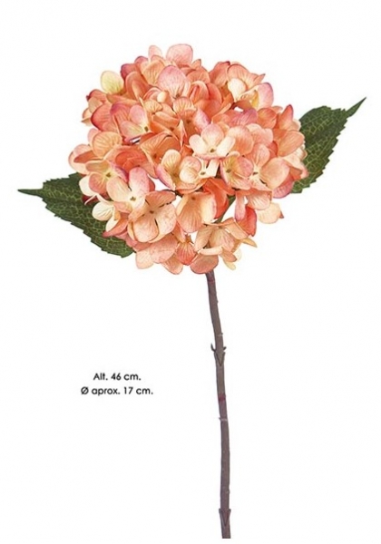 HORTENSIA. 46 cm. Apricot.