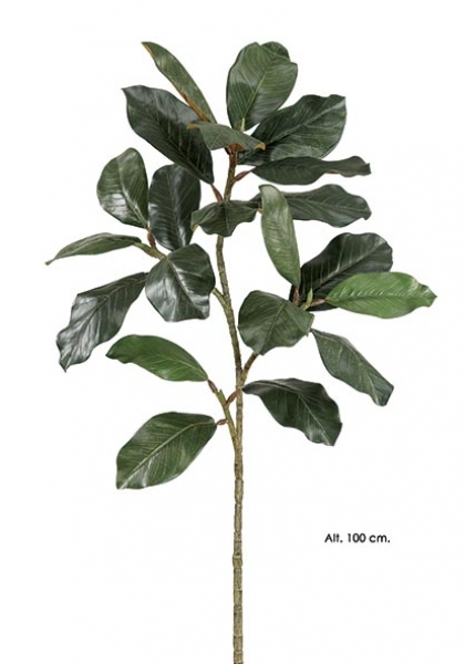 RAMAJE MAGNOLIA. 100 cm. Verde.