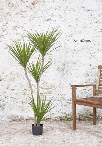 MACETA YUCCA, 150 cm. Verde