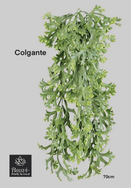 COLGANTE PLATYCERIUM. 70 cm. Verde.