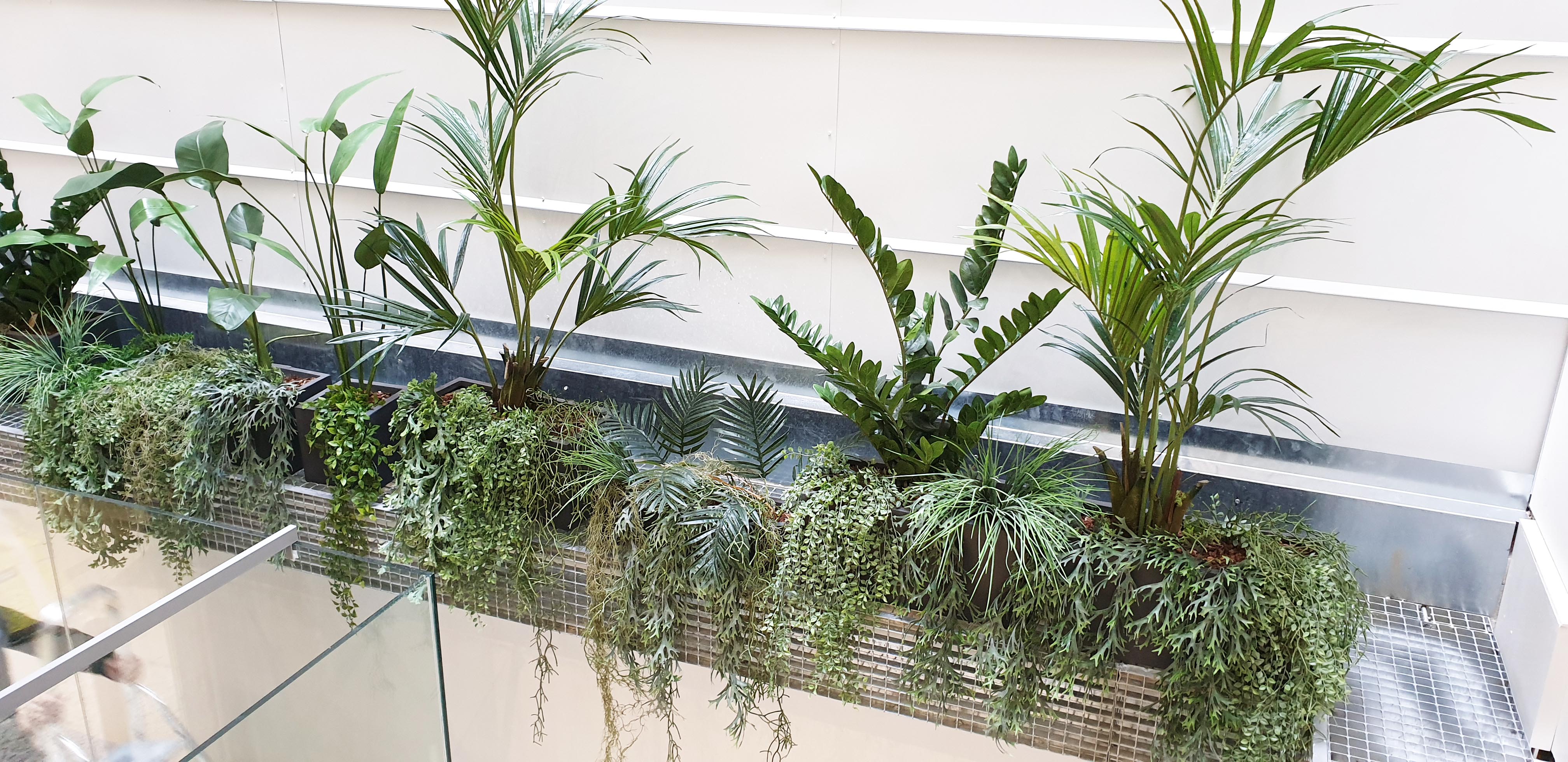 plantas decorativas para interiores