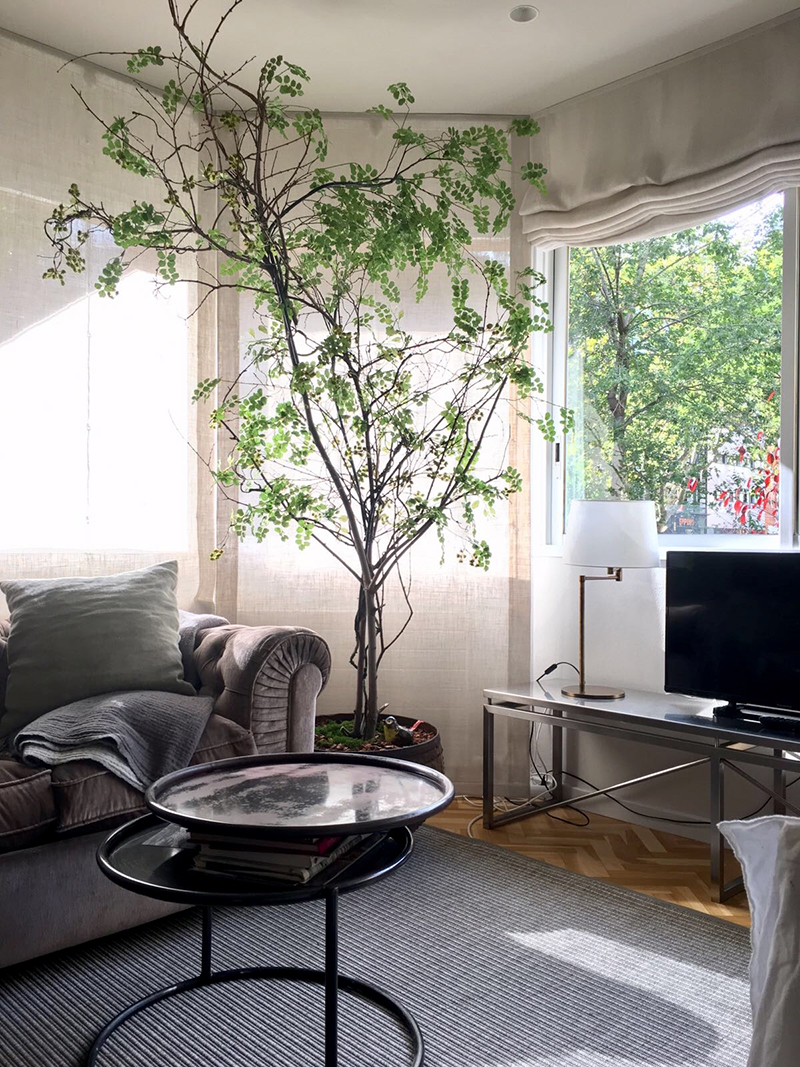 Árboles a medida. – Bossvi